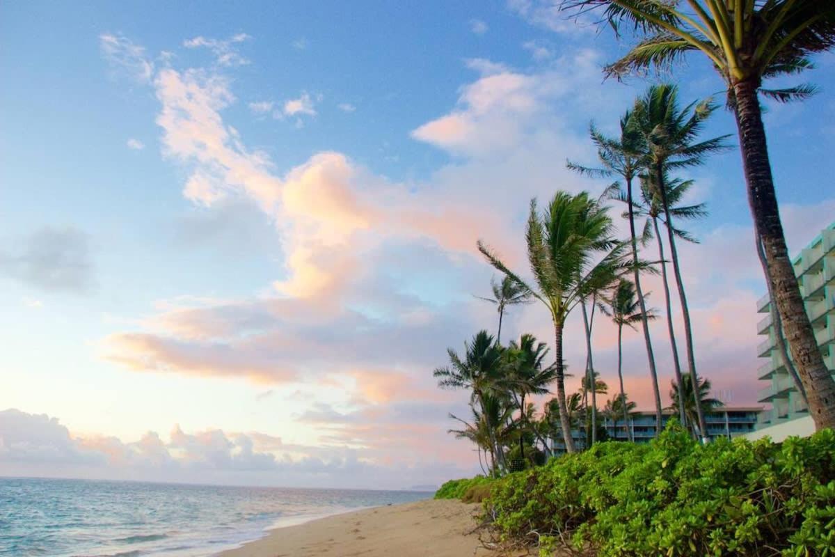 Hau'ula Luxury Beachfront Condo מראה חיצוני תמונה