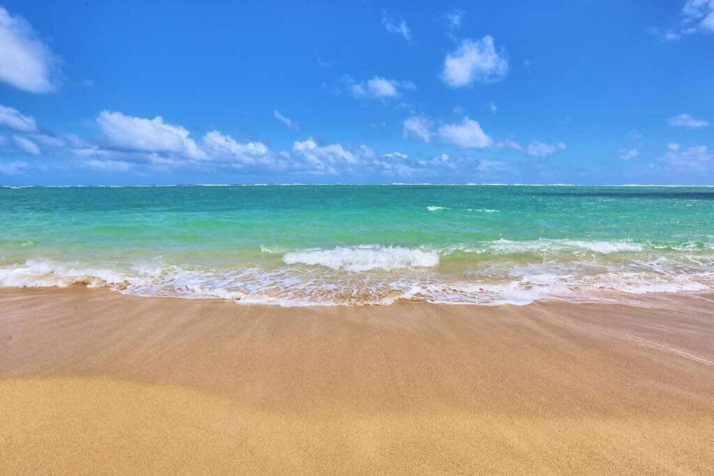 Hau'ula Luxury Beachfront Condo מראה חיצוני תמונה