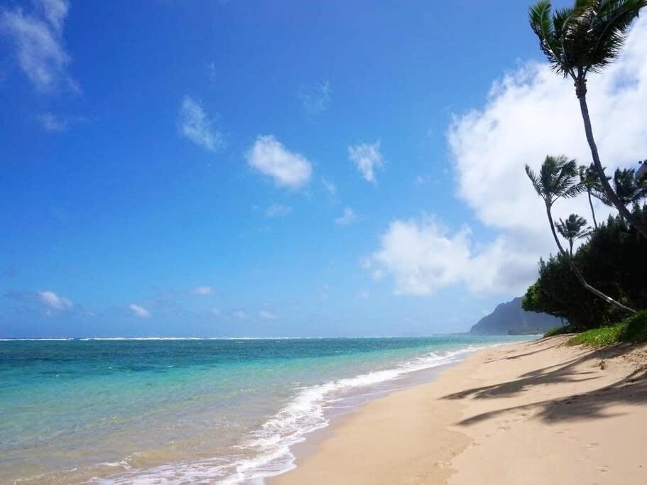 Hau'ula Luxury Beachfront Condo מראה חיצוני תמונה